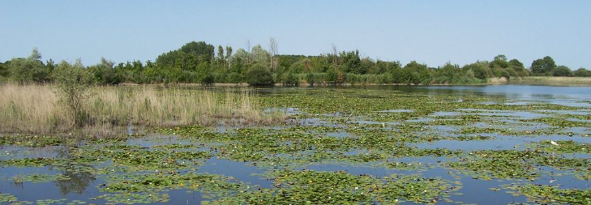 CPIE-zone humide- gestion de la biodiversité.MOREAU
