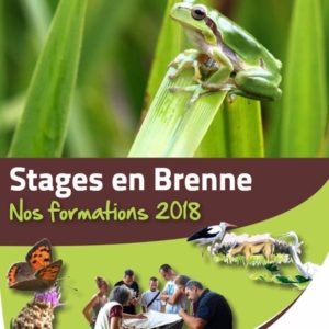 stage cpie brenne berry 2018
