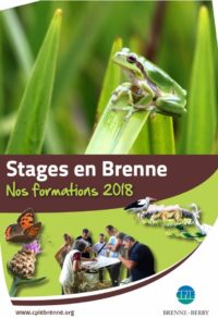 stage cpie brenne berry 2018