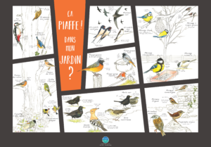 poster oiseaux piaffe jardin